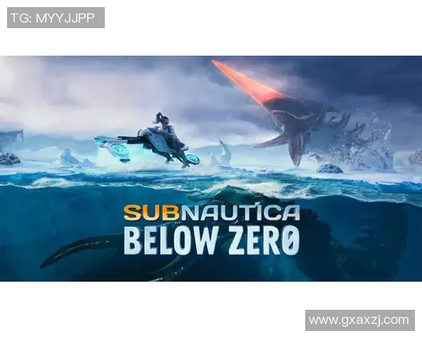 阙云小Z的成长旅程与未来展望：探索PEL背后的故事与梦想