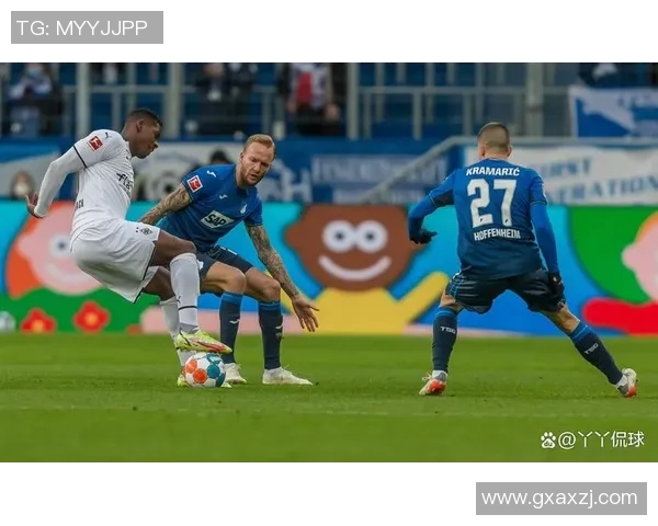 霍芬海姆主场轻取汉诺威,演绎完美的胜利之夜